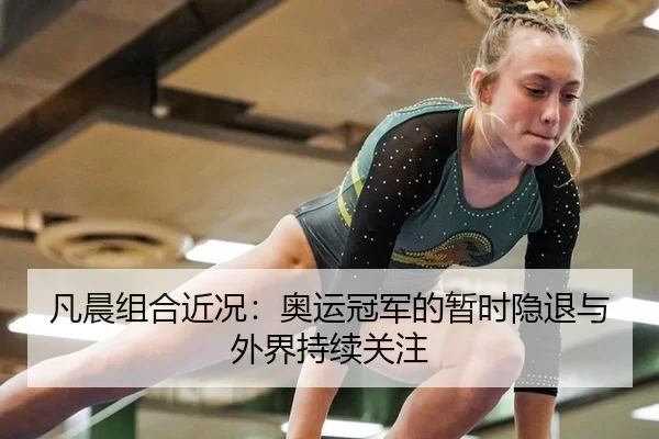 凡晨组合近况：奥运冠军的暂时隐退与外界持续关注
